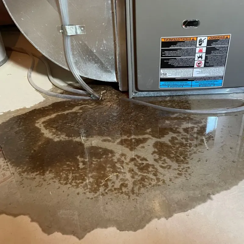 Pipe Burst and Leak Restoration in Concord, NC