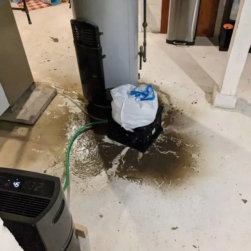 Sewage Backup Cleanup Service in Concord, NC